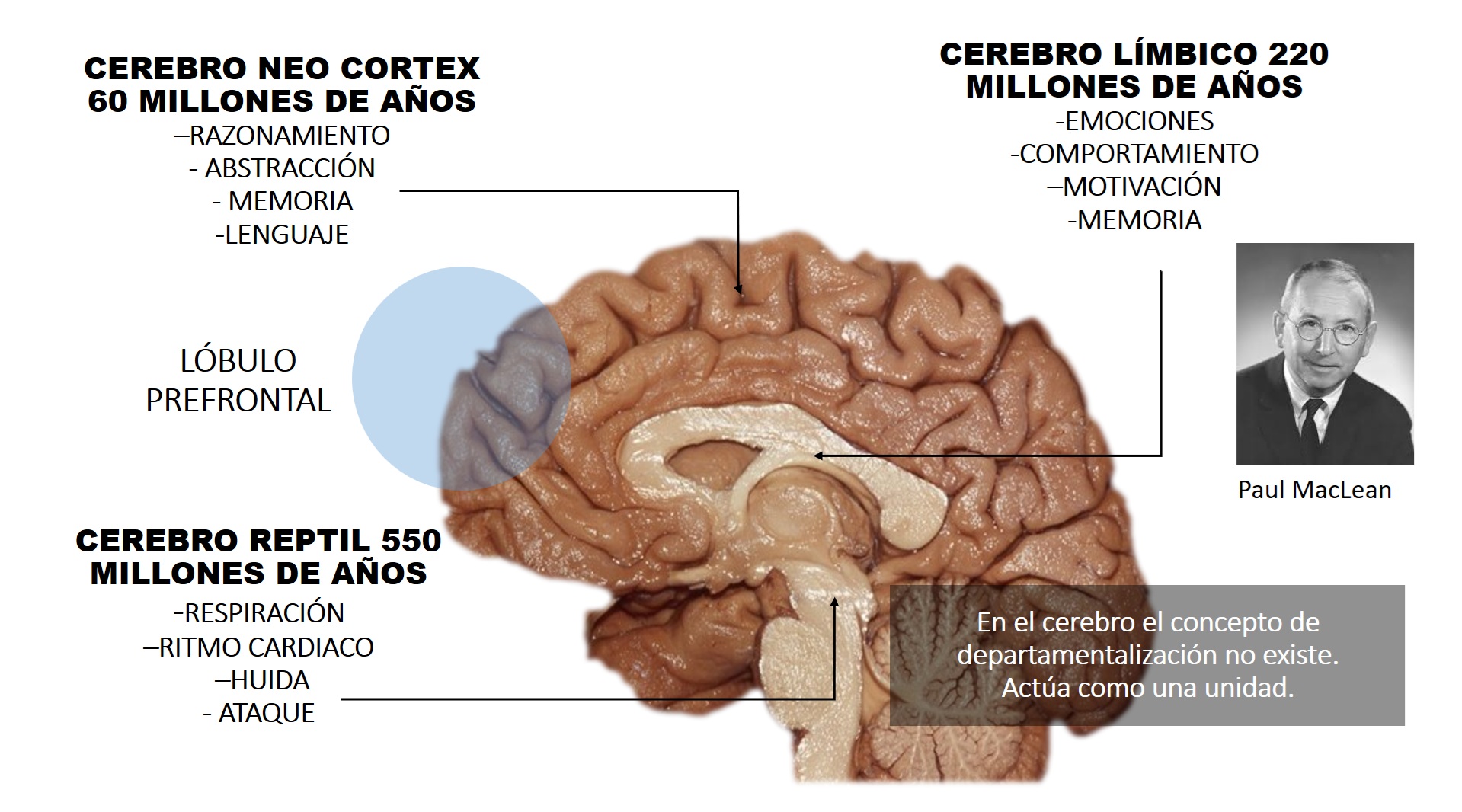 CEBERO TRIUNO MAC LEAN